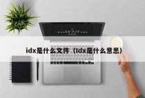 idx是什么文件（Idx是什么意思）