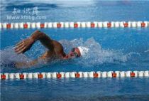 自由泳转髋发力技巧