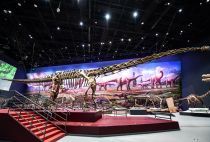 科研人员帮助亚洲最大的完整恐龙化石“长”了2米