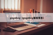 gogoboy（gogoboy是啥意思）