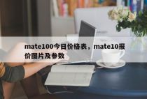 mate100今日价格表，mate10报价图片及参数