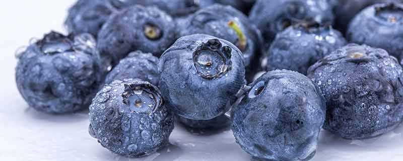 蓝莓一天吃多少为宜 蓝莓一天吃多少合适
