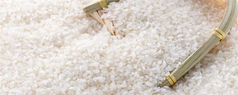 大米的成分 大米中含有什么营养成分