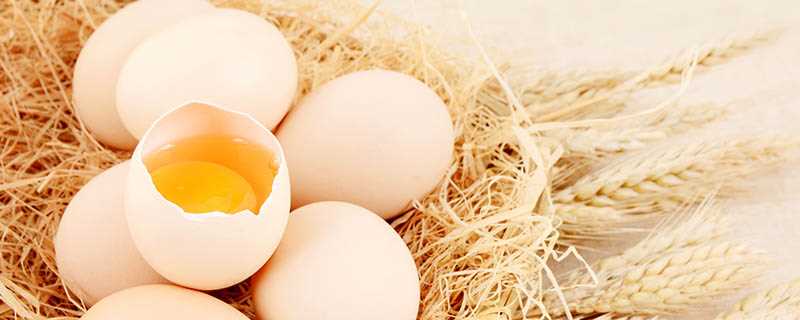 鸡蛋室温下可以放多久 鸡蛋常温下能放多久
