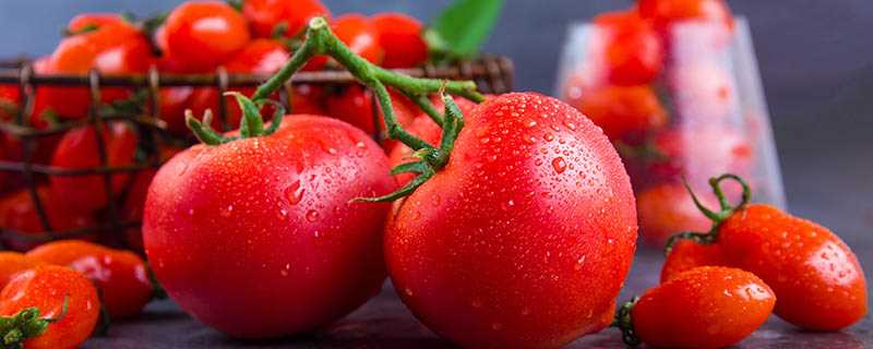 小番茄能放多久 新鲜的小番茄大概能放几天