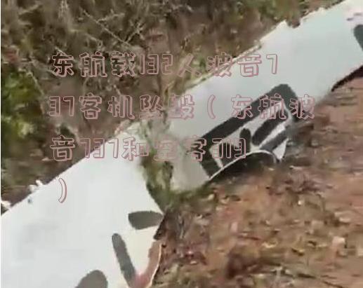 东航载132人波音737客机坠毁